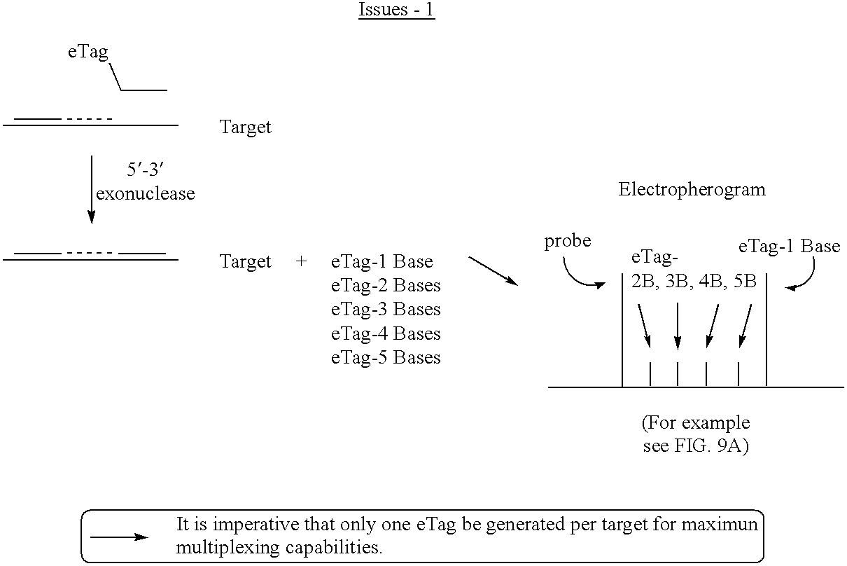 Detection using degradation of a tagged sequence