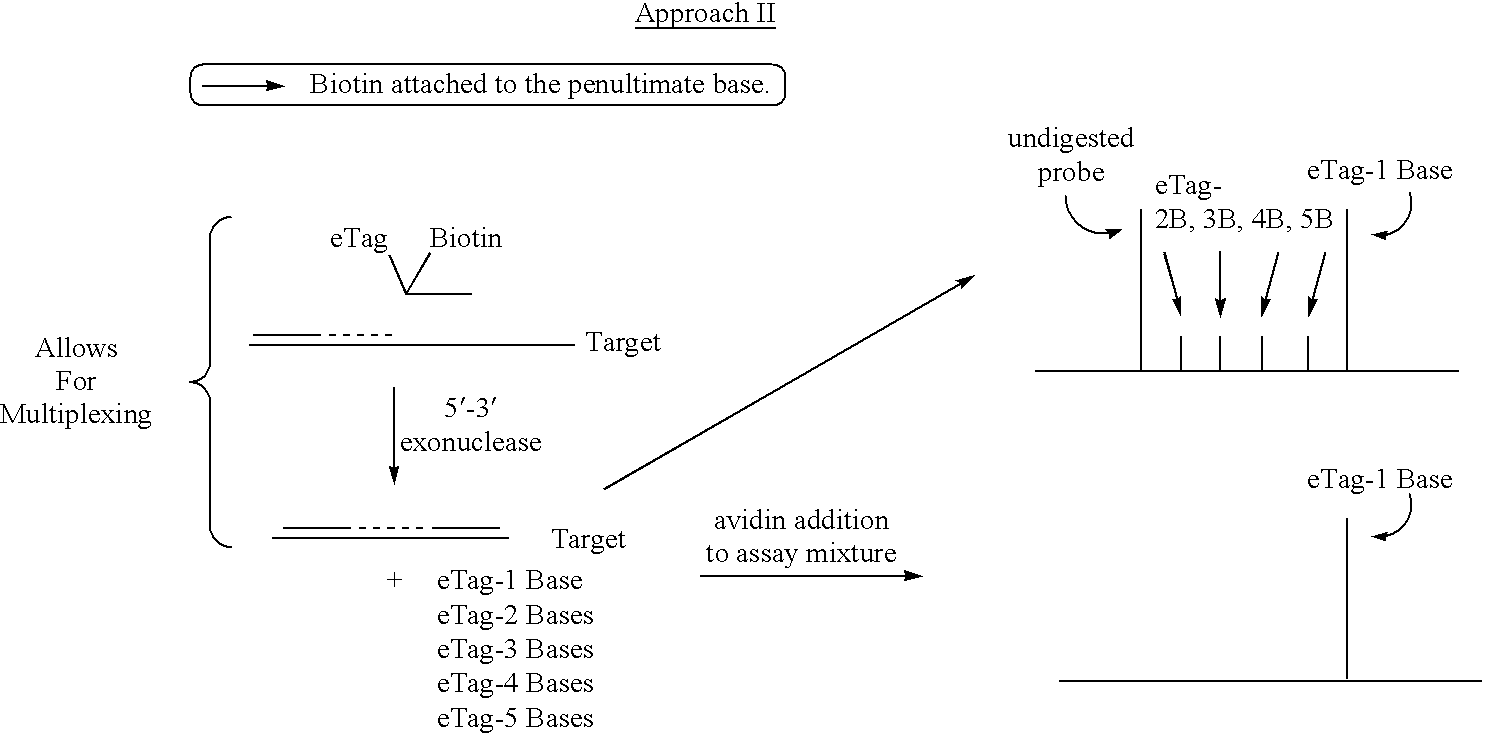 Detection using degradation of a tagged sequence