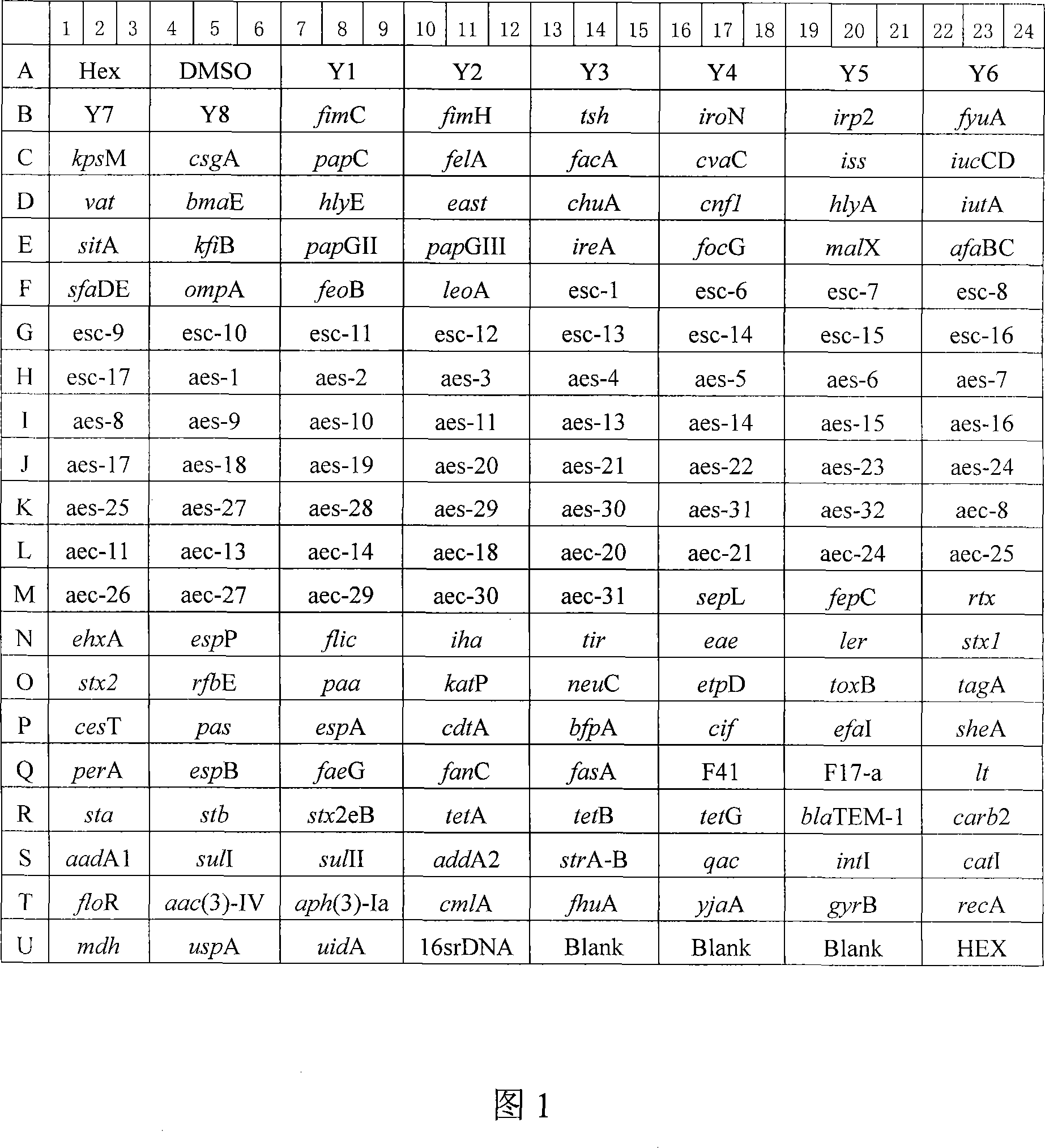 DNA chip for detecting virulence gene expression abilities of APEC and UPEC and construction method thereof