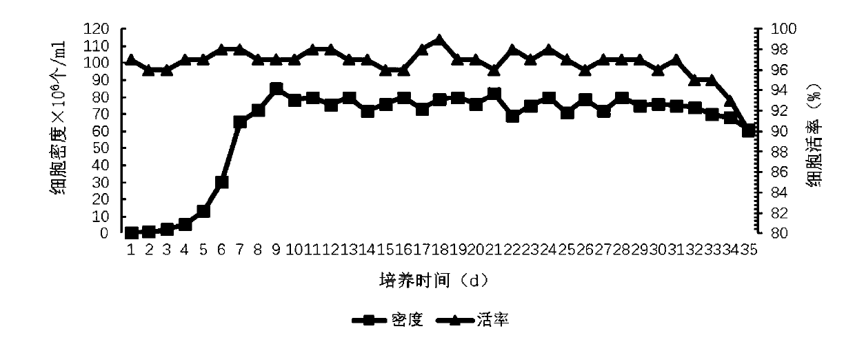 Method and culture medium for producing human follicle stimulating hormone through high-density perfusion culture of recombinant CHO cells and application of human follicle stimulating hormone