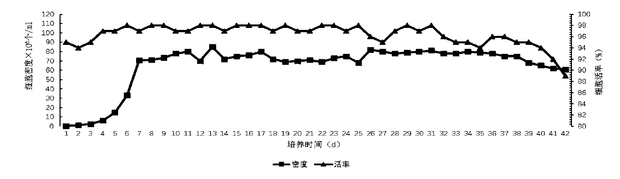 Method and culture medium for producing human follicle stimulating hormone through high-density perfusion culture of recombinant CHO cells and application of human follicle stimulating hormone