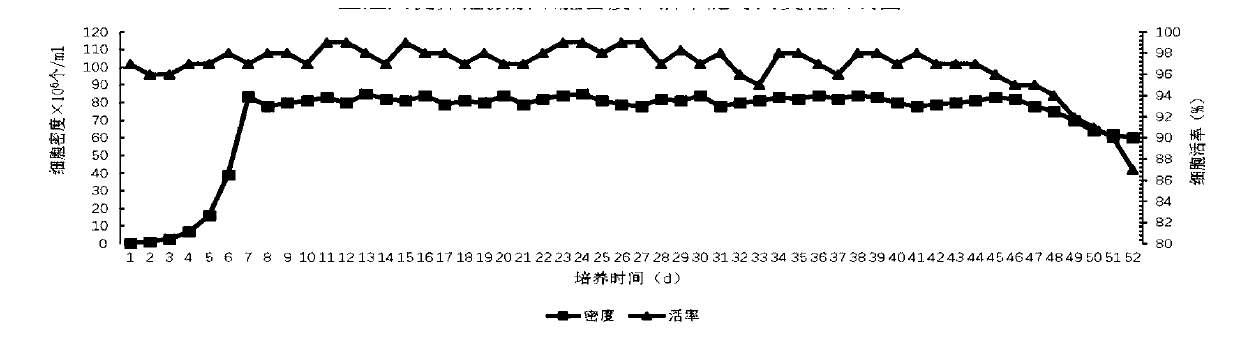 Method and culture medium for producing human follicle stimulating hormone through high-density perfusion culture of recombinant CHO cells and application of human follicle stimulating hormone