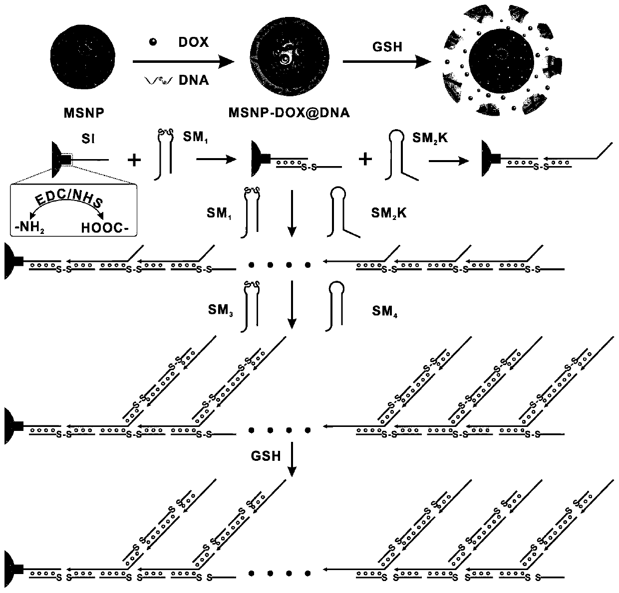 Mesoporous silica-based nano-drug delivery system capable of regulating drug release as well as construction and application of nano-drug delivery system