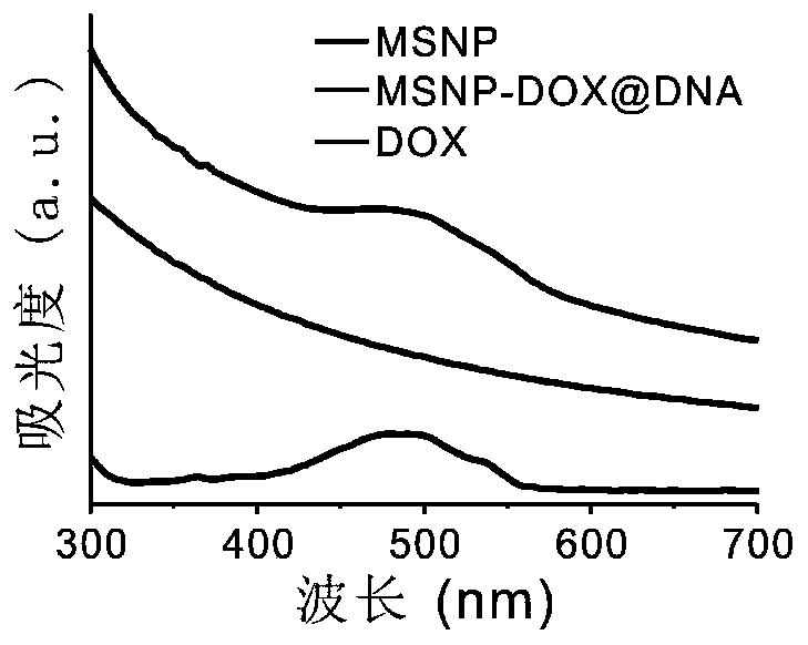 Mesoporous silica-based nano-drug delivery system capable of regulating drug release as well as construction and application of nano-drug delivery system