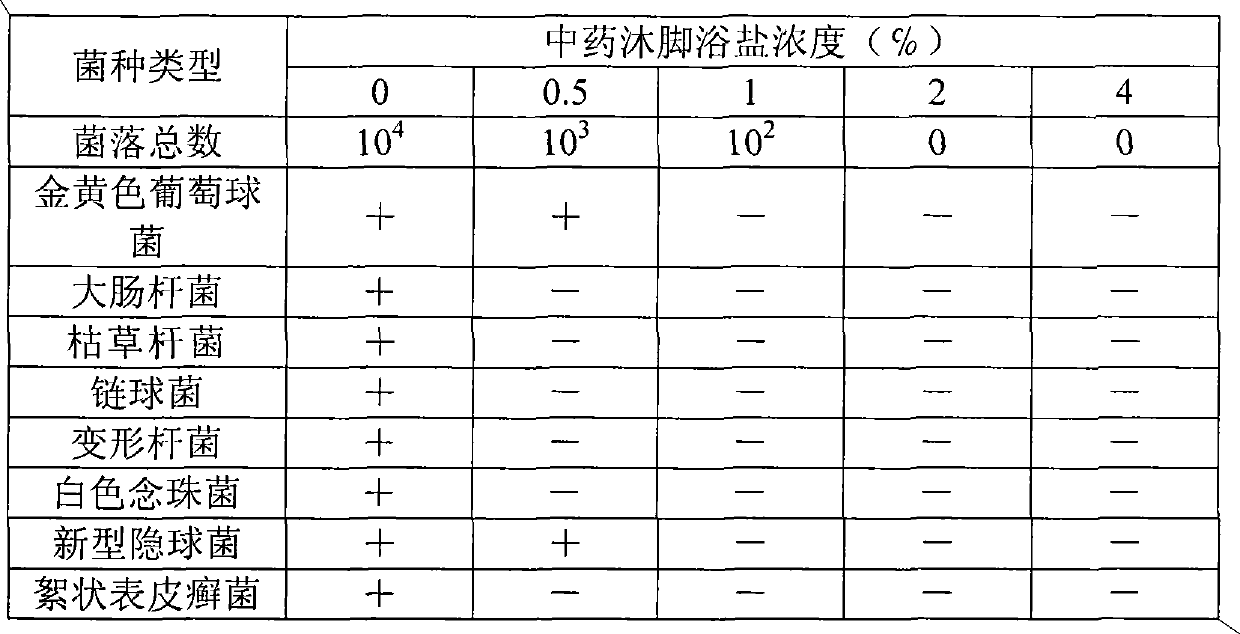 Chinese medicinal foot bath salt and preparation method thereof