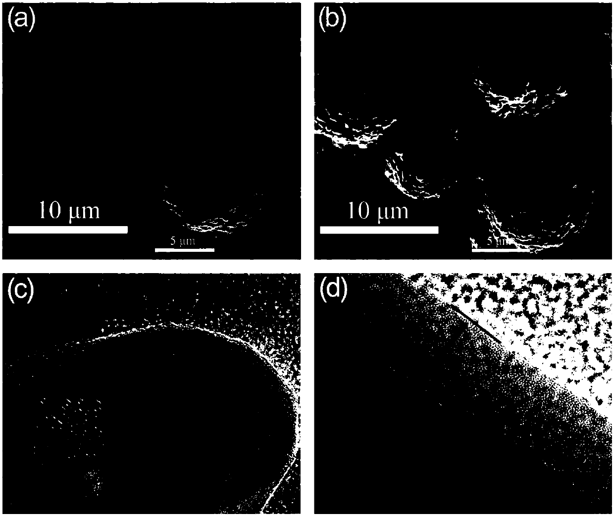 Lithium ion battery, modified lithium ion battery anode material and preparation method of anode material