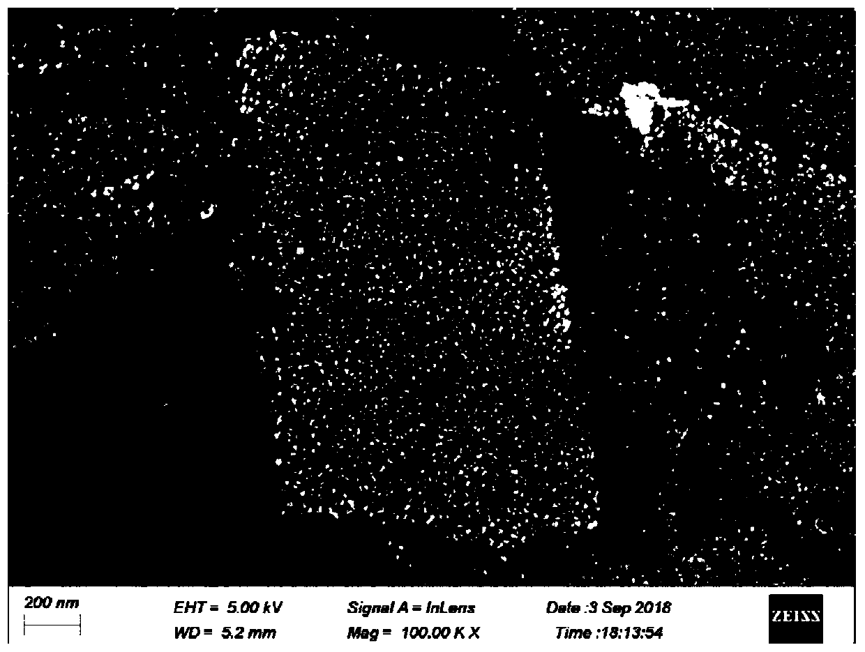 SERS chip and preparation method and application thereof