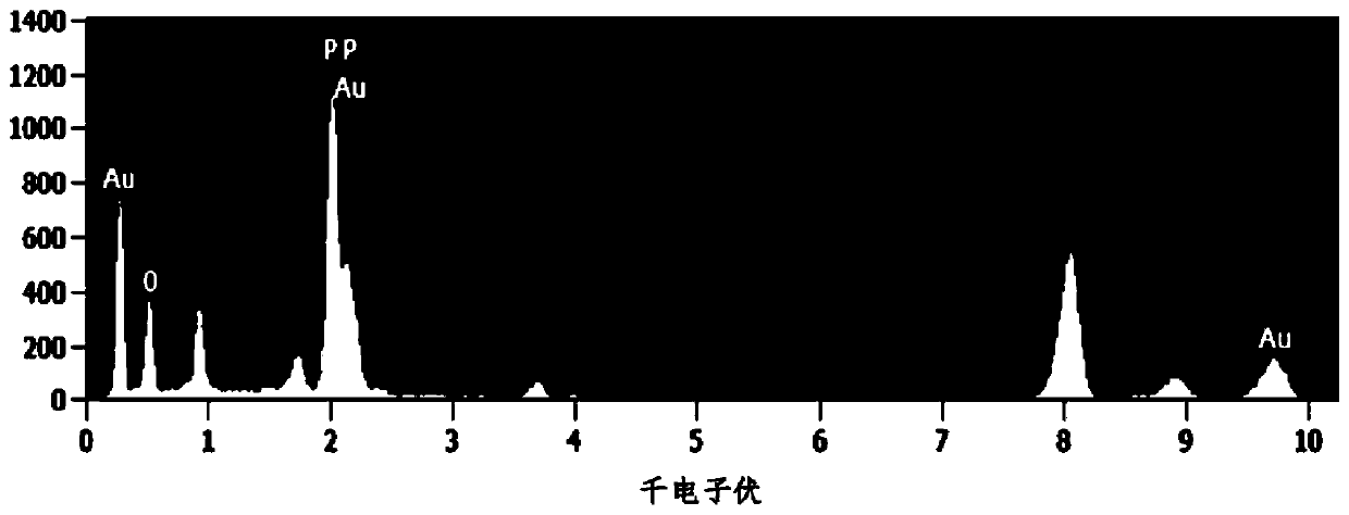 SERS chip and preparation method and application thereof