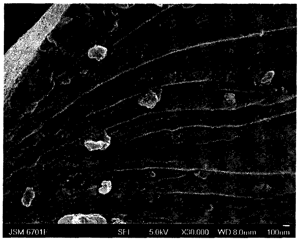 Method for preparing imporous carbon absorbent material