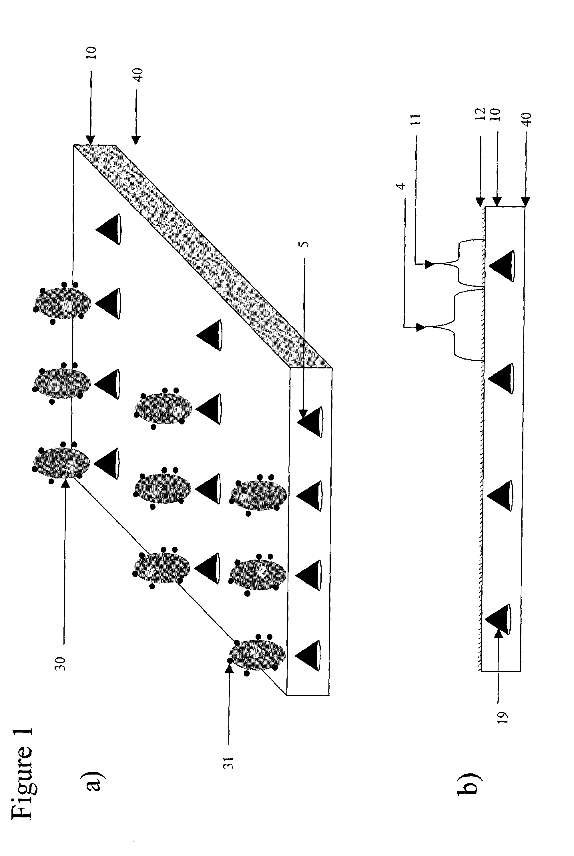 Device for magnetic immobilization of cells