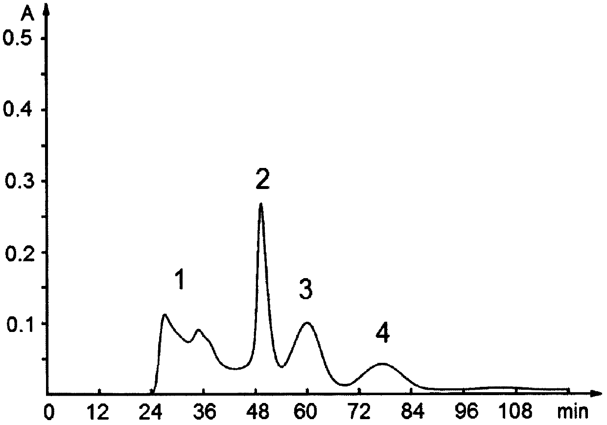 Antioxidant active peptide and preparation method thereof