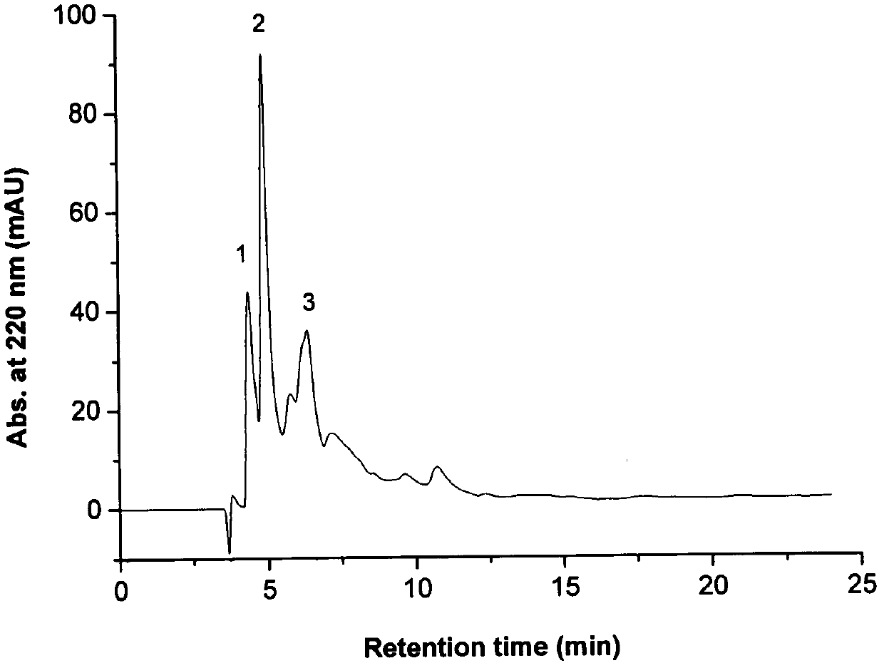 Antioxidant active peptide and preparation method thereof