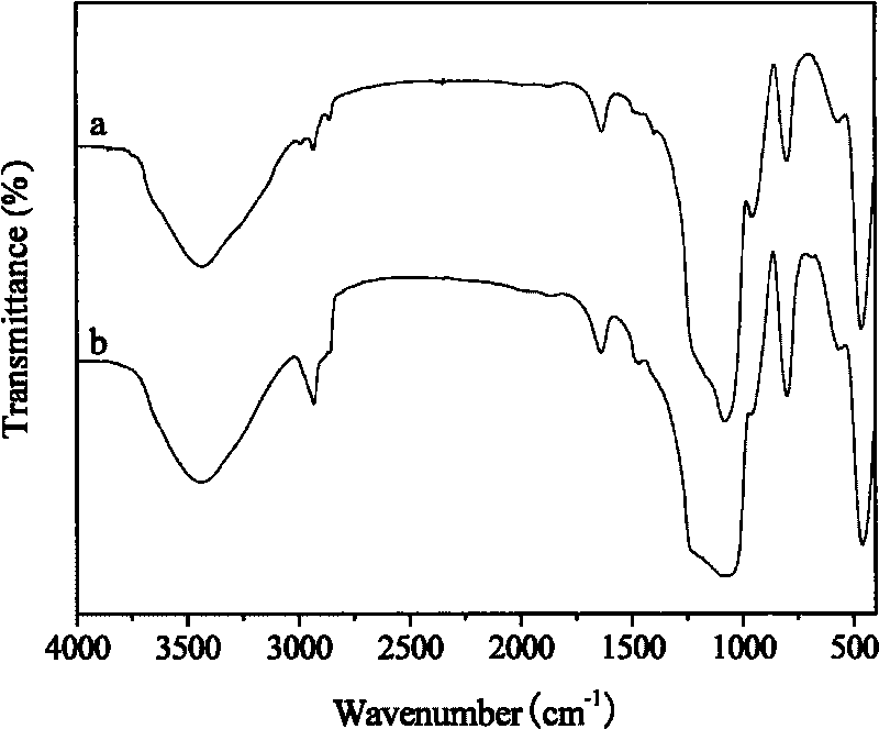 Method for preparing modification functional groups on external surfaces of pores of mesoporous silica material