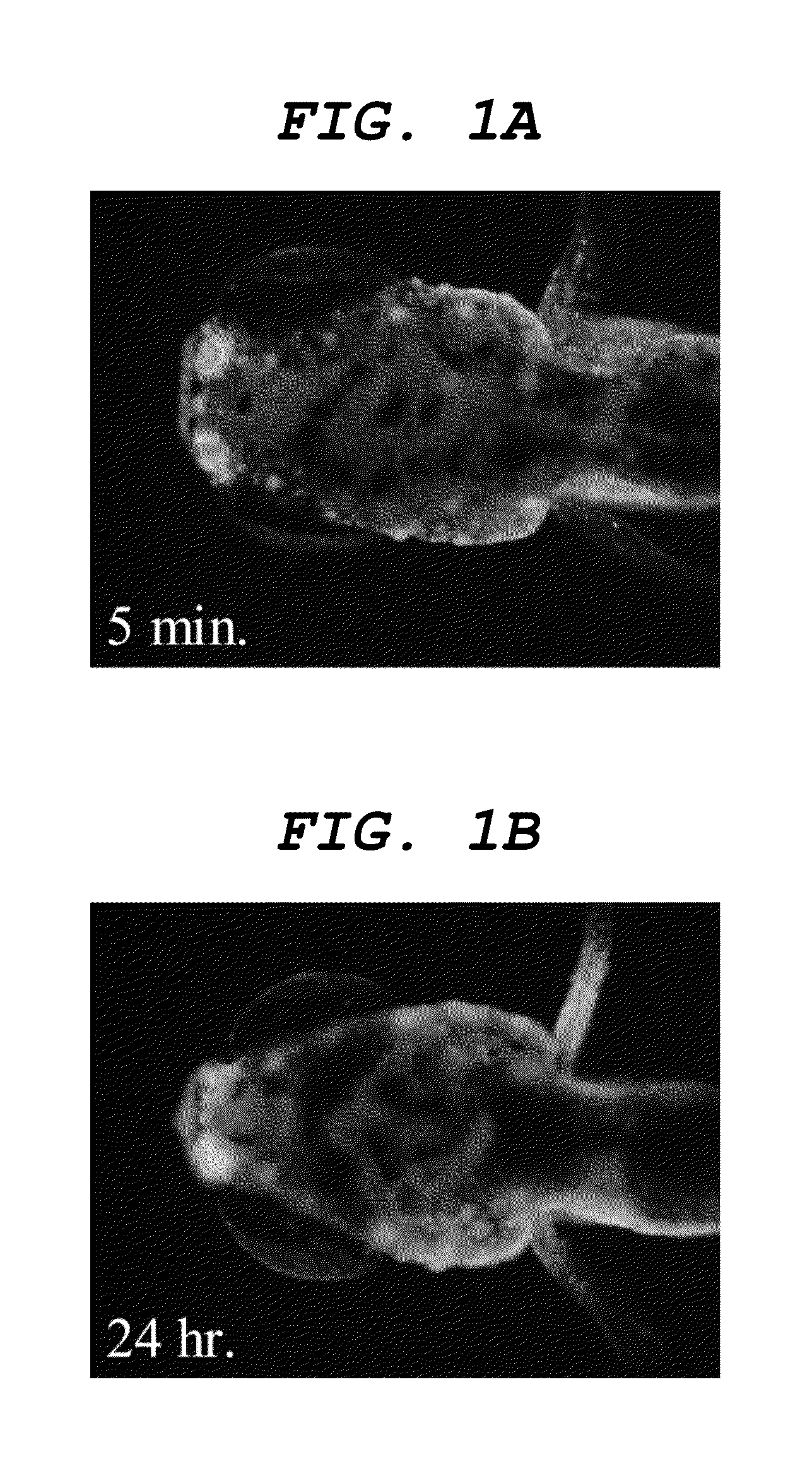 Central nervous system labelling composition for intranasal administration and labelling method and screening method using central nervous system labelling composition for intranasal administration