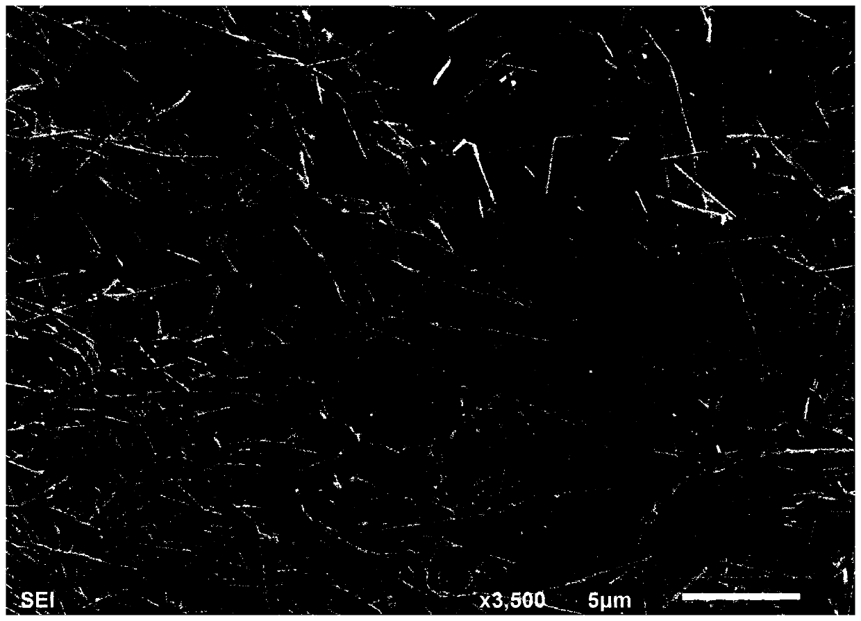 Silver nanowire and preparation method and application thereof