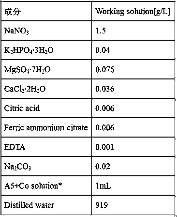 Method for preparing microalgae grease through mixed cultivation