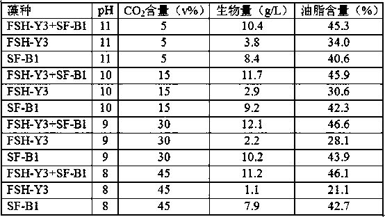 Method for preparing microalgae grease through mixed cultivation