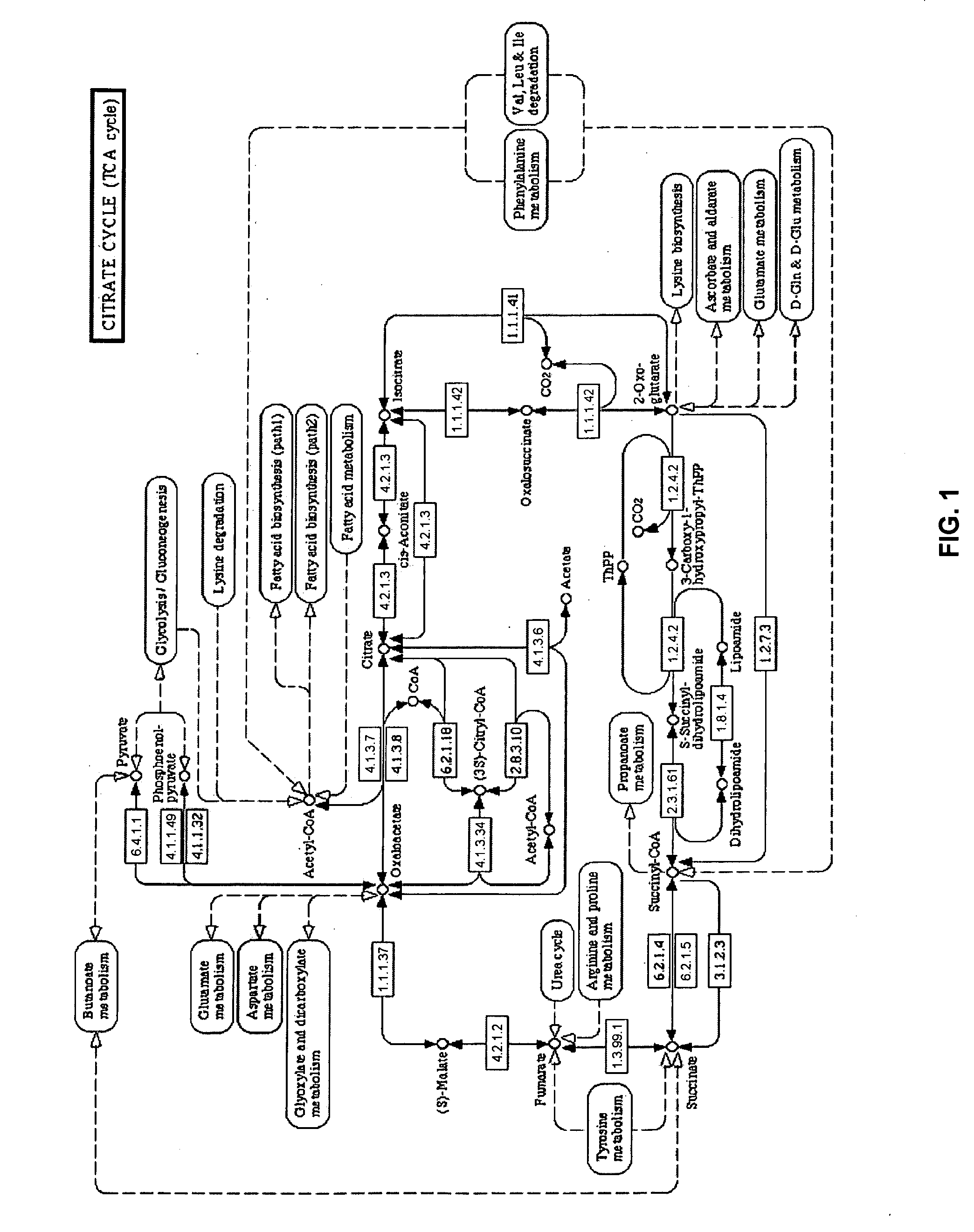 Noninvasive Measurement and Identification of Biomarkers in Disease State