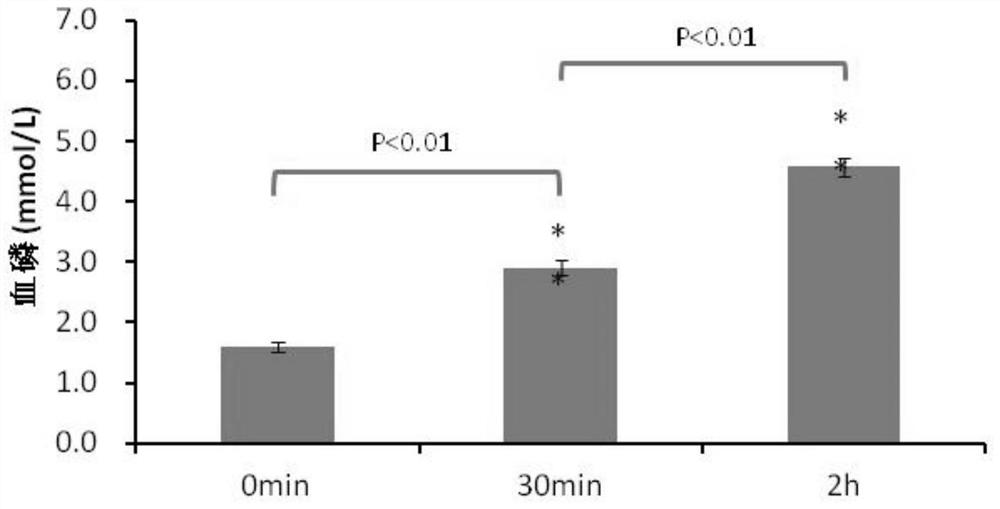 Benzamide derivatives, their preparation method and their application in medicine