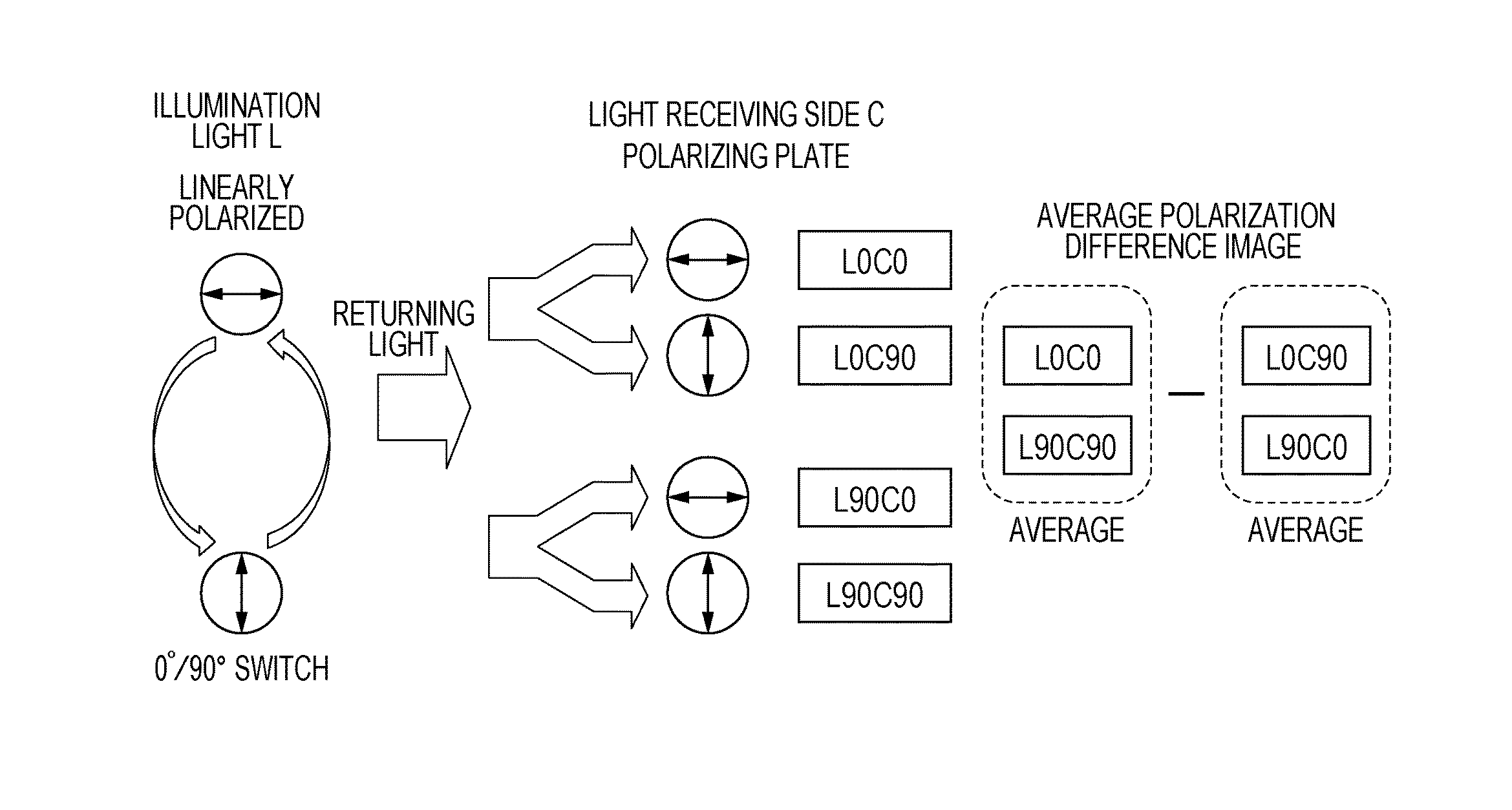 Polarization image processing apparatus