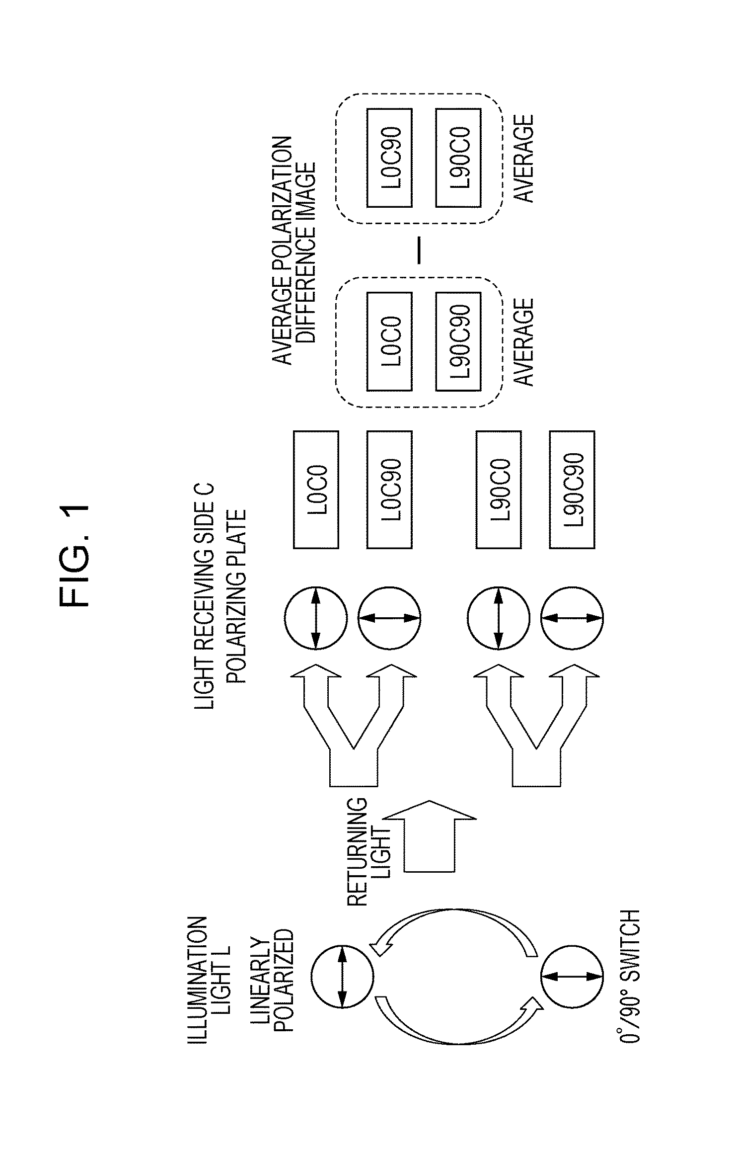 Polarization image processing apparatus