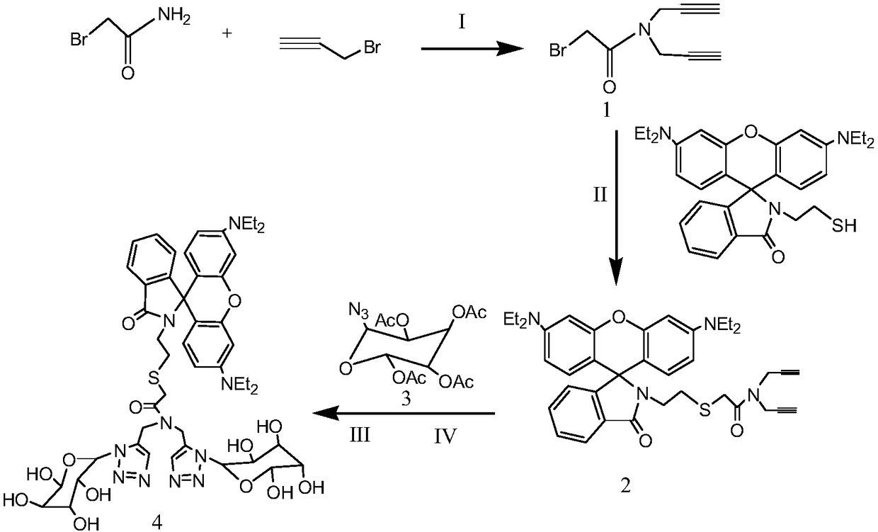 Fluorescent probe for detecting biological cells Hg&lt;2+&gt; and synthetic method of fluorescent probe