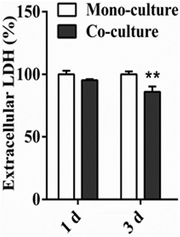 Cell culture method for improving hepatocyte proliferation activity