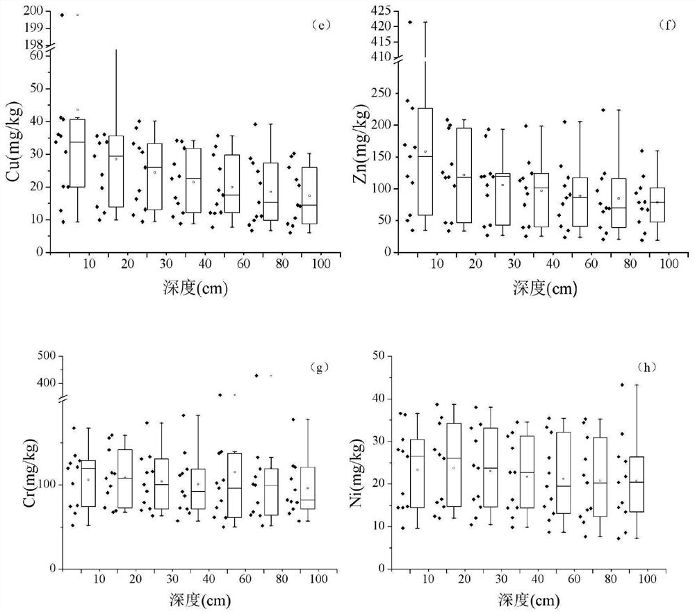 Analysis method for heavy metal accumulation and morphological characteristic analysis of heavy metal main pollution source of rice field profile soil