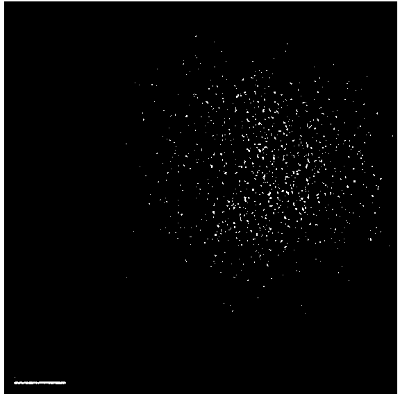 Nano lotus fiber/alginate porous material and preparation method thereof