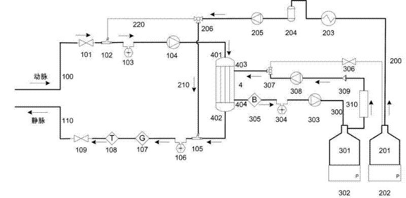 Portable blood purifying system