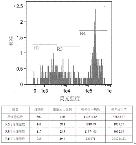 Method for analyzing wheat root tip cell cycle through flow cytometry