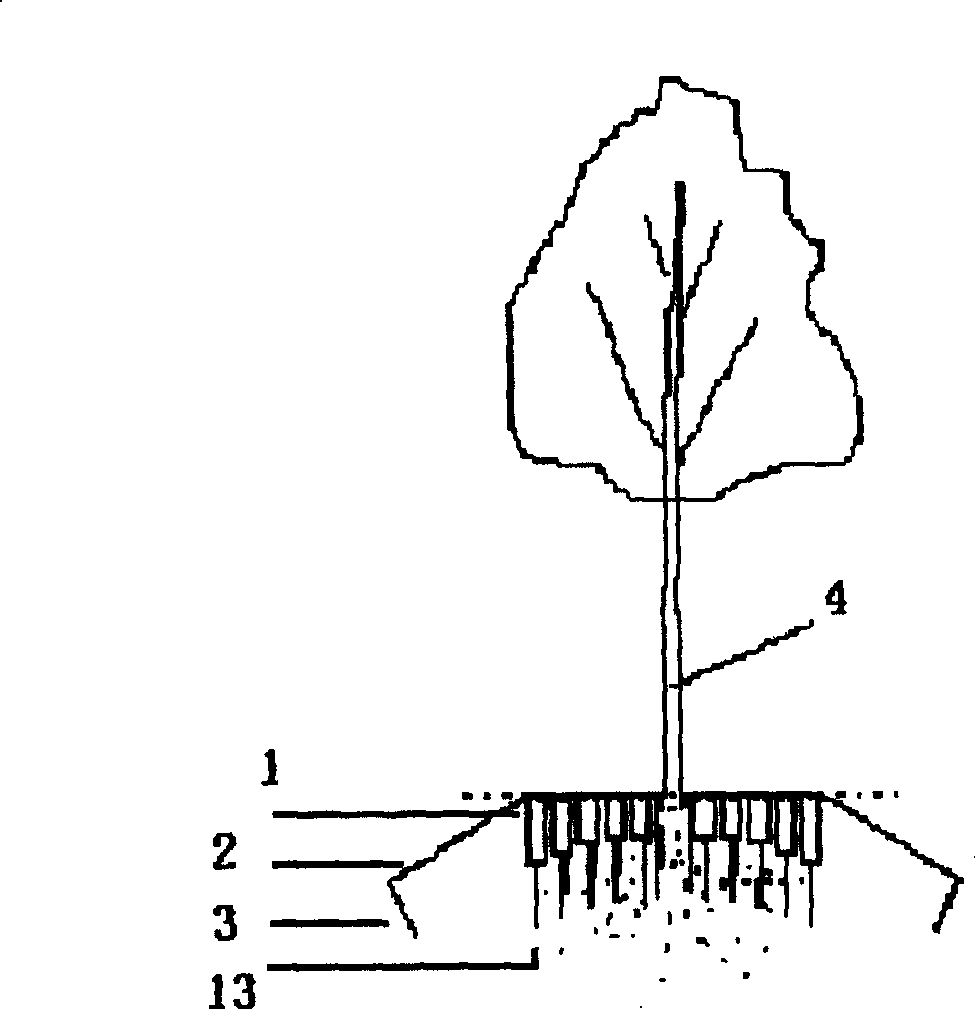 Invisible garden tree fixing method