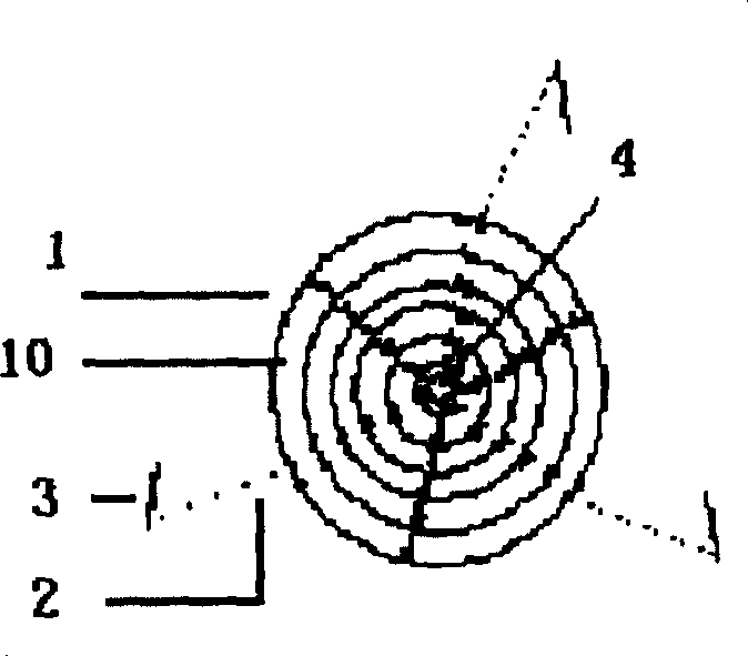 Invisible garden tree fixing method