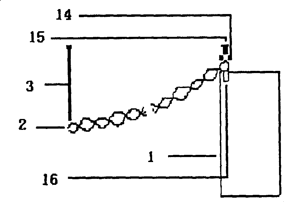 Invisible garden tree fixing method