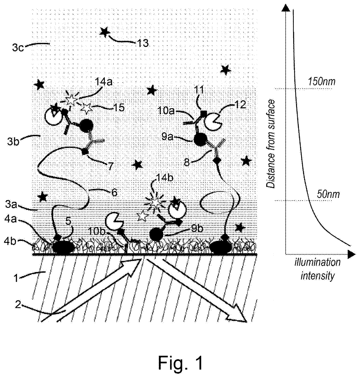 Imaging assays