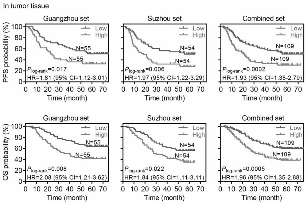 Application of pirna-54265 in the diagnosis, treatment and prognosis evaluation of colorectal cancer