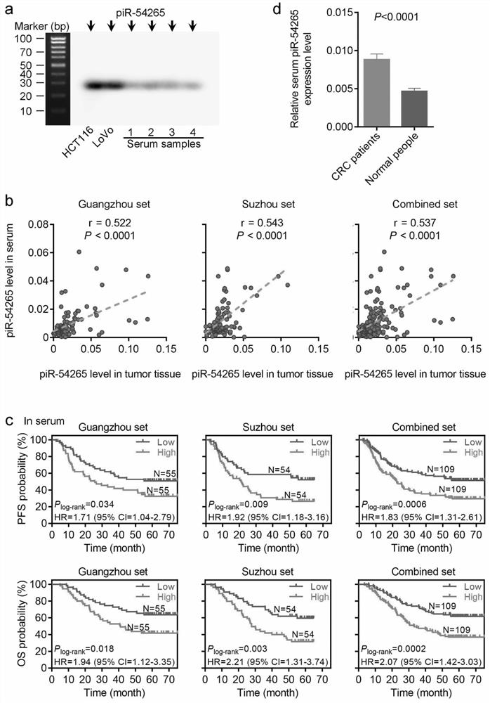 Application of pirna-54265 in the diagnosis, treatment and prognosis evaluation of colorectal cancer