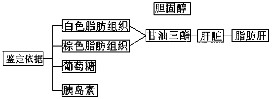 Construction and identification method of super-obese mice