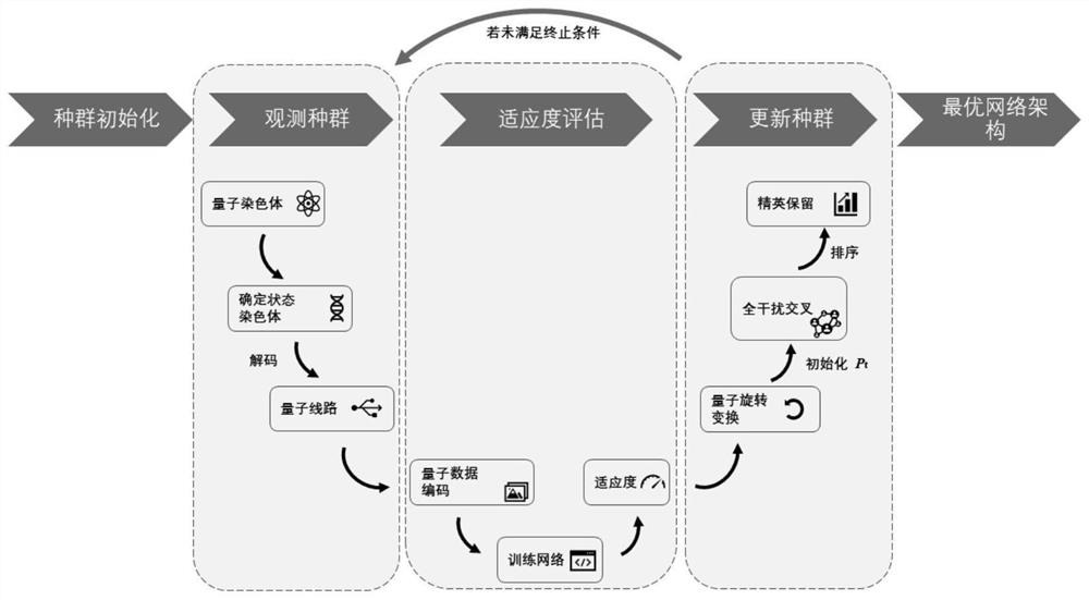 Evolutionary quantum neural network architecture search method based on quantum simulator