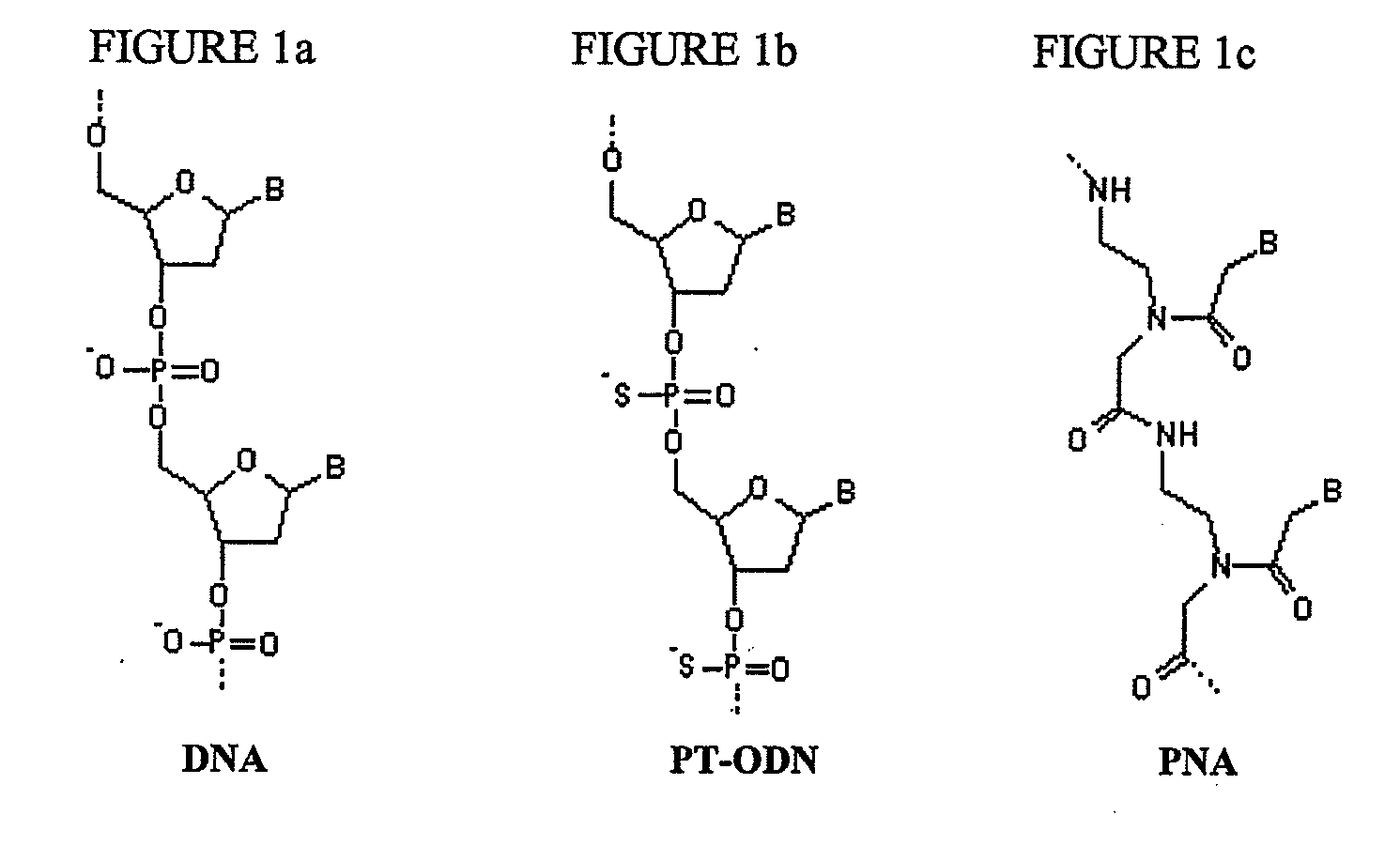 Nanoparticles containing plymeric nucleic acid homologs, pharmaceutical composition and articles of manufacture containing same and methods of use thereof