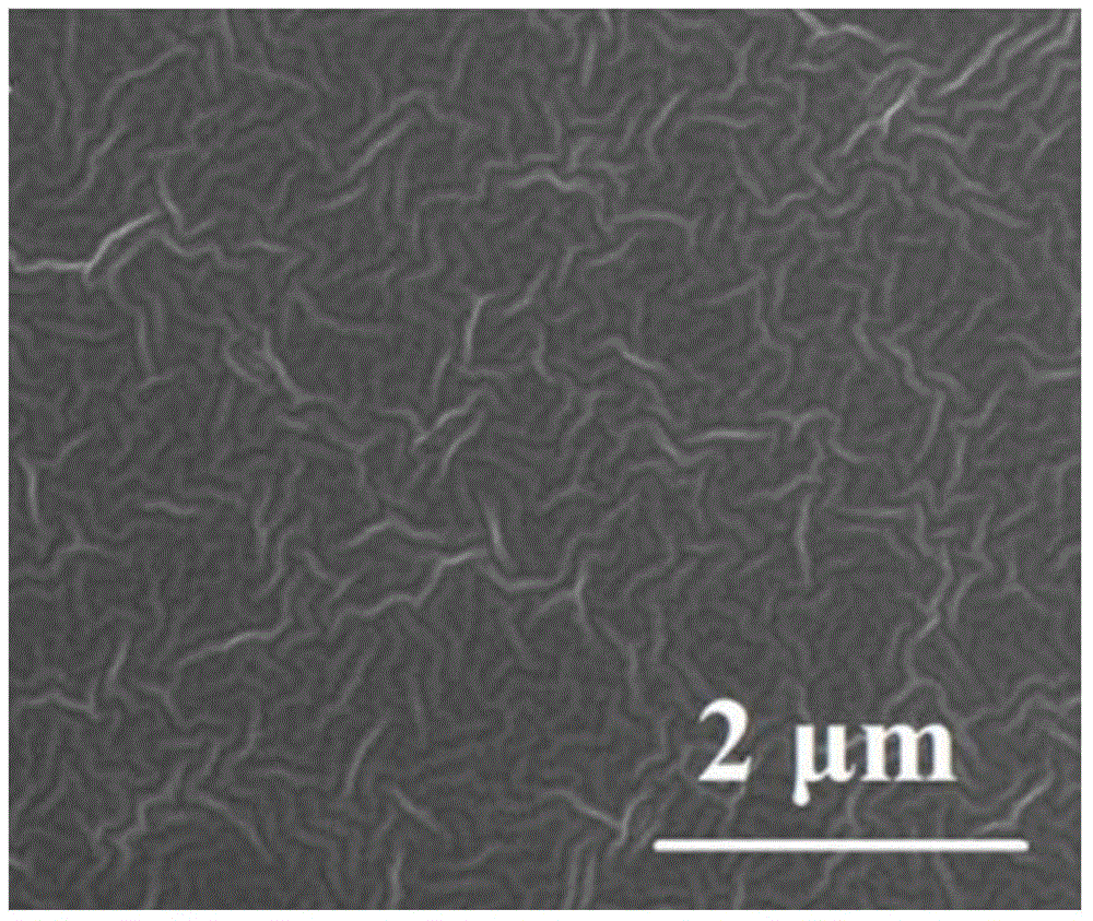 Chitosan-based hydrogel and preparation method and application thereof