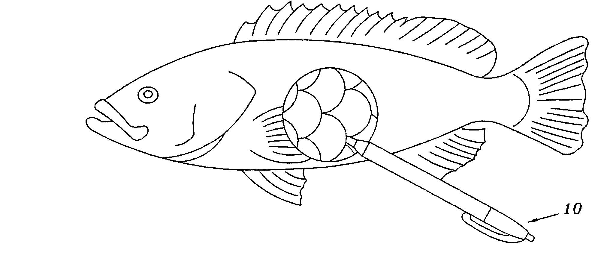 Device for Releasing Gas Trapped in Fish