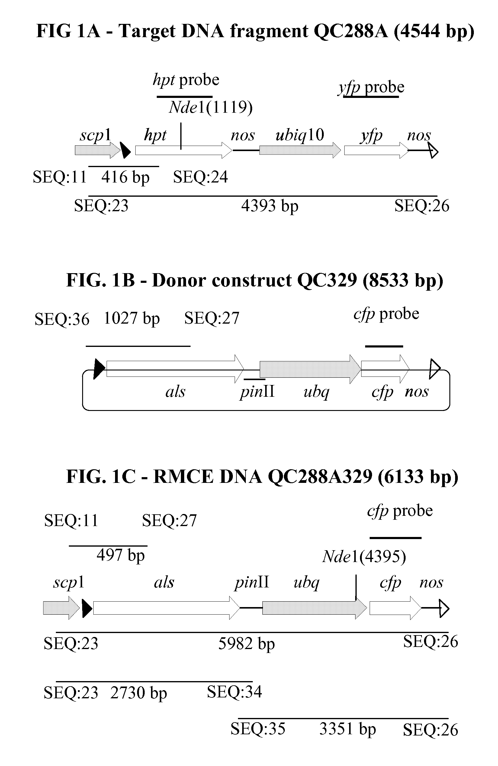 Site-specific integration and stacking of transgenes in soybean via DNA recombinase mediated cassette exchange