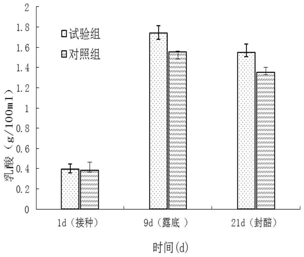 A Sonora Desert Bacillus and Its Application