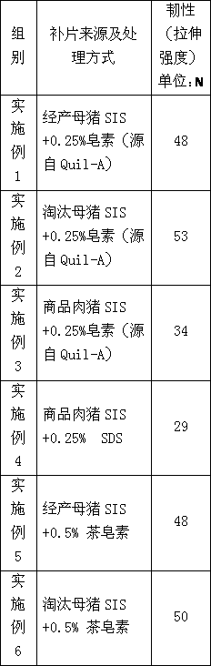 Dural biological patch and preparation method thereof