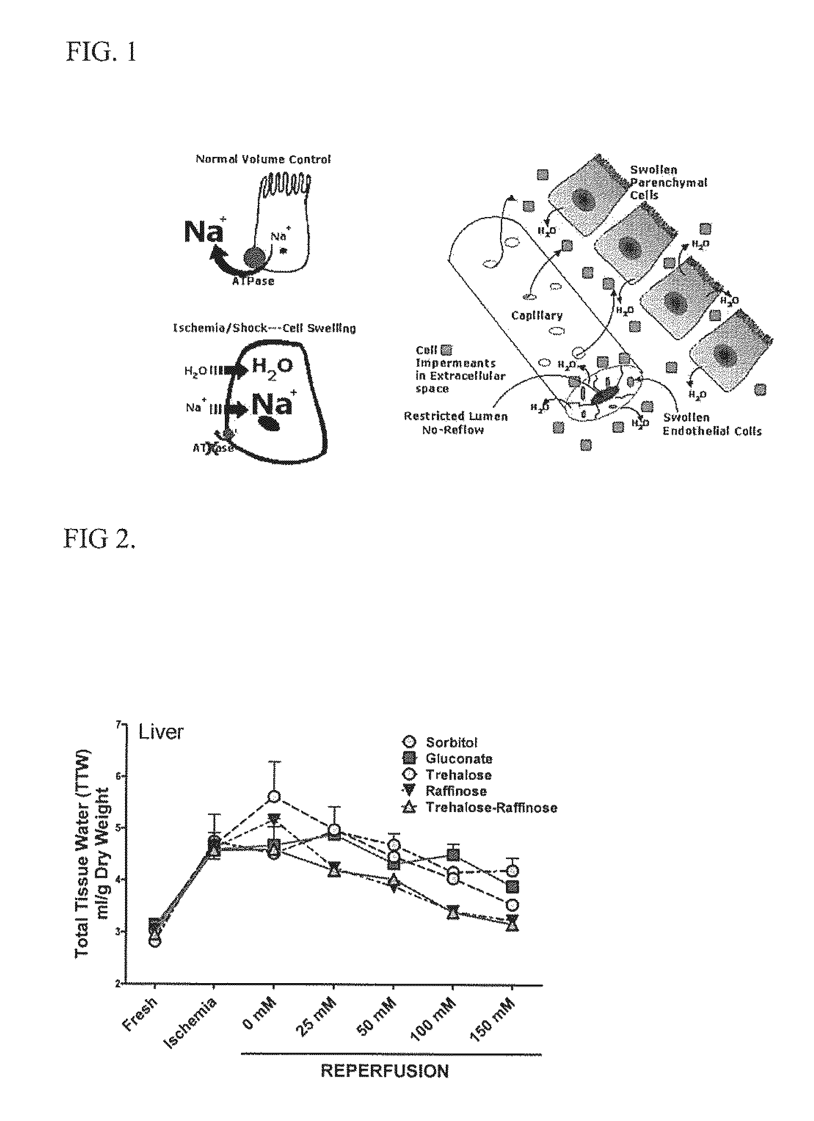 Organ protection solution and method of use