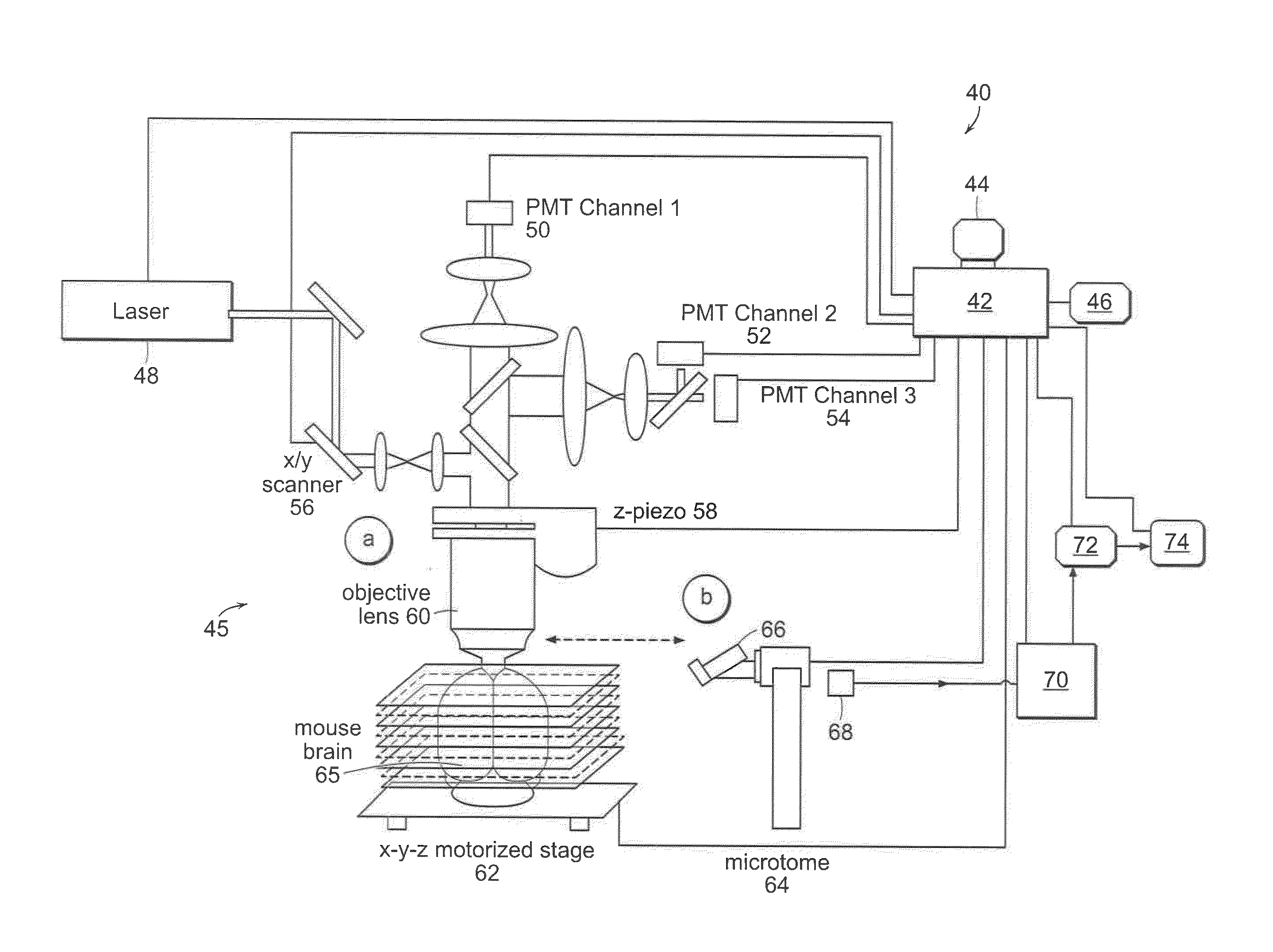 Systems and methods for imaging and processing tissue