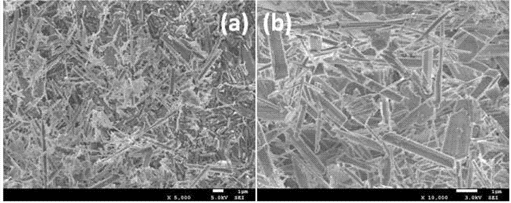 Novel Co(OH)F lithium ion battery negative electrode material and preparation method thereof