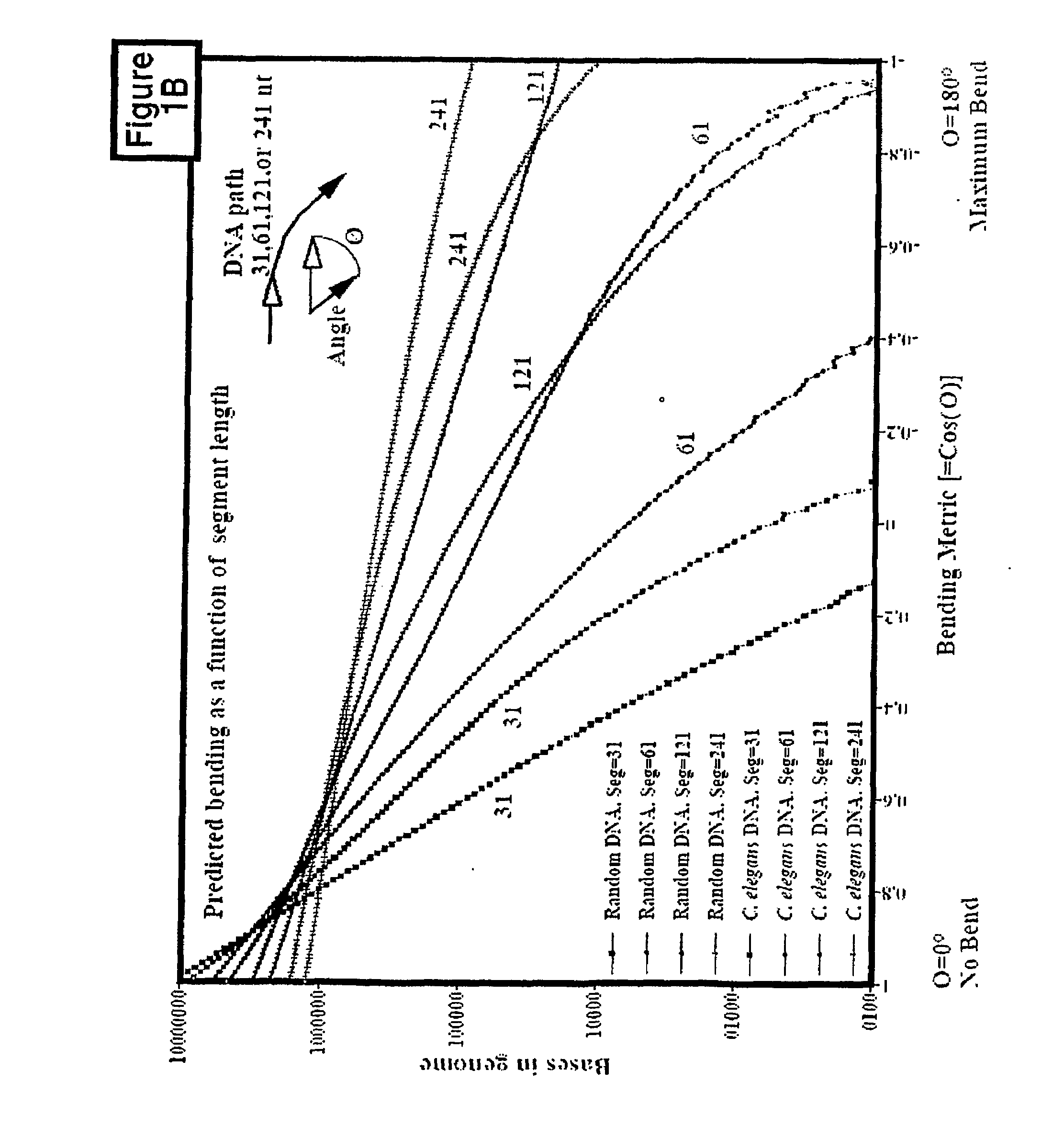 Levels and/or Sustainability of DNA-based Gene Expression