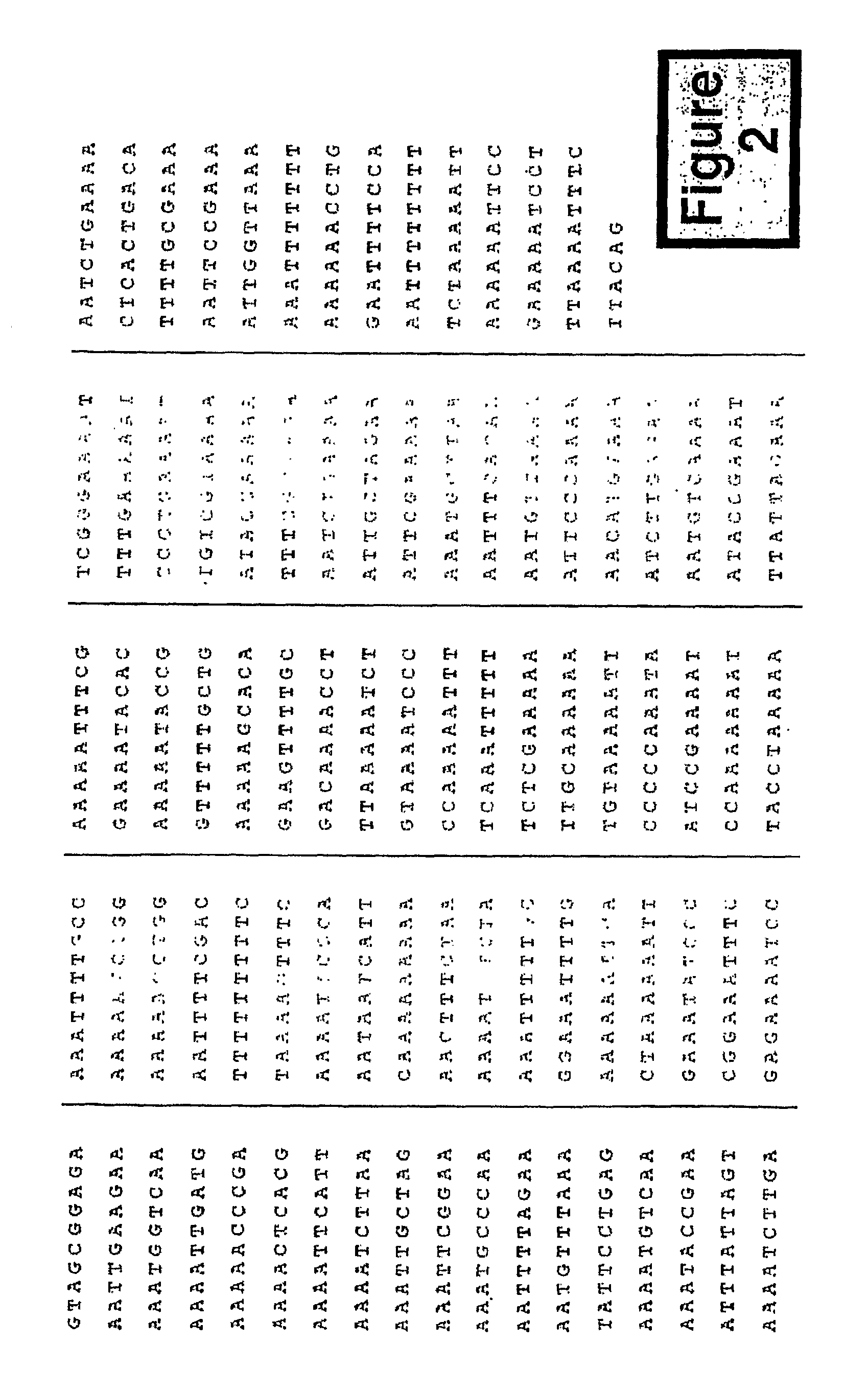 Levels and/or Sustainability of DNA-based Gene Expression